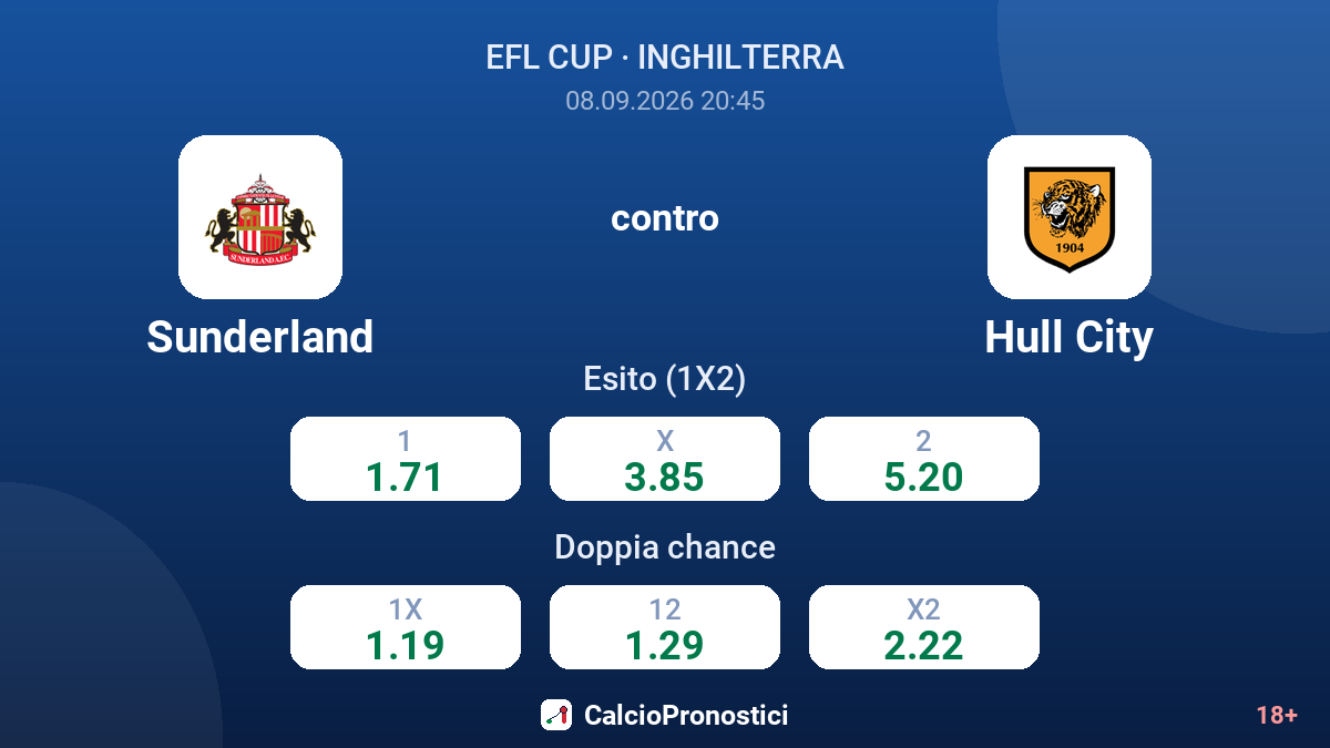 Sunderland - Hull City — quote