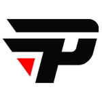 paiN logo
